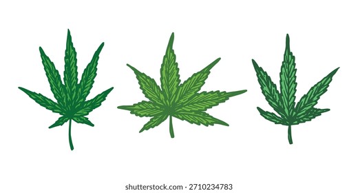 Conjunto de hoja de cannabis dibujado a mano Medicina marihuana Hojas de cáñamo Clipart en estilo doodle Un solo elemento para impresión, Web, diseño, decoración