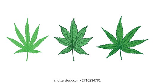 Conjunto de hoja de cannabis dibujado a mano Medicina marihuana Hojas de cáñamo Clipart en estilo doodle Un solo elemento para impresión, Web, diseño, decoración