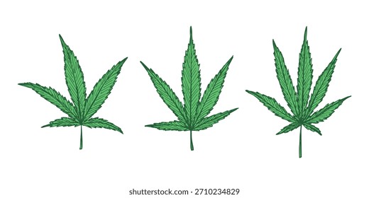 Conjunto de hoja de cannabis dibujado a mano Medicina marihuana Hojas de cáñamo Clipart en estilo doodle Un solo elemento para impresión, Web, diseño, decoración