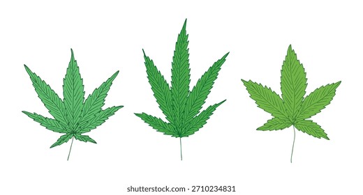 Conjunto de hoja de cannabis dibujado a mano Medicina marihuana Hojas de cáñamo Clipart en estilo doodle Un solo elemento para impresión, Web, diseño, decoración