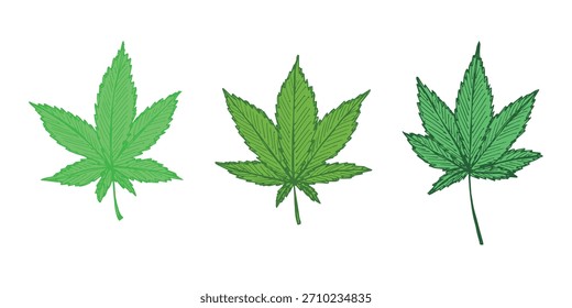 Conjunto de hoja de cannabis dibujado a mano Medicina marihuana Hojas de cáñamo Clipart en estilo doodle Un solo elemento para impresión, Web, diseño, decoración
