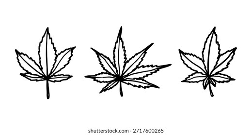 Conjunto de hoja de cannabis dibujado a mano Medicina marihuana Hojas de cáñamo Clipart en estilo doodle Un solo elemento para impresión, Web, diseño, decoración
