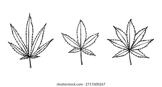 Conjunto de mão desenhada folha de maconha Medicina maconha cânhamo folhas clipart no estilo doodle Elemento único para impressão, web, design, decoração