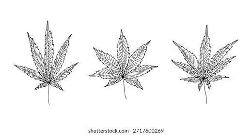 Conjunto de mão desenhada folha de maconha Medicina maconha cânhamo folhas clipart no estilo doodle Elemento único para impressão, web, design, decoração