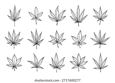 Conjunto de mão desenhada folha de maconha Medicina maconha cânhamo folhas clipart no estilo doodle Elemento único para impressão, web, design, decoração
