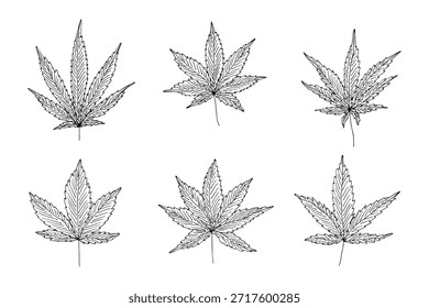 Conjunto de hoja de cannabis dibujado a mano Medicina marihuana Hojas de cáñamo Clipart en estilo doodle Un solo elemento para impresión, Web, diseño, decoración