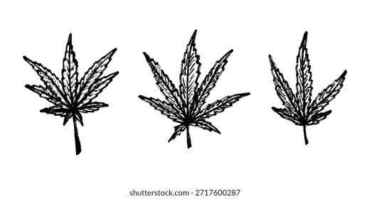 Conjunto de hoja de cannabis dibujado a mano Medicina marihuana Hojas de cáñamo Clipart en estilo doodle Un solo elemento para impresión, Web, diseño, decoración
