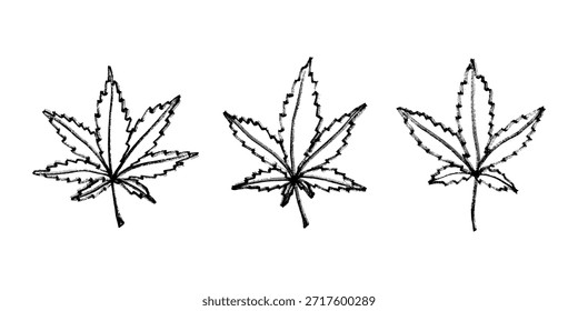 Conjunto de mão desenhada folha de maconha Medicina maconha cânhamo folhas clipart no estilo doodle Elemento único para impressão, web, design, decoração