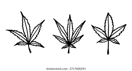 Conjunto de hoja de cannabis dibujado a mano Medicina marihuana Hojas de cáñamo Clipart en estilo doodle Un solo elemento para impresión, Web, diseño, decoración
