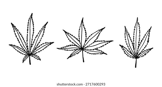 Conjunto de hoja de cannabis dibujado a mano Medicina marihuana Hojas de cáñamo Clipart en estilo doodle Un solo elemento para impresión, Web, diseño, decoración