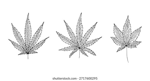 Conjunto de mão desenhada folha de maconha Medicina maconha cânhamo folhas clipart no estilo doodle Elemento único para impressão, web, design, decoração
