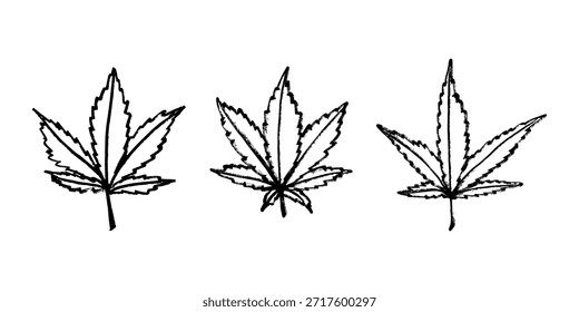 Conjunto de hoja de cannabis dibujado a mano Medicina marihuana Hojas de cáñamo Clipart en estilo doodle Un solo elemento para impresión, Web, diseño, decoración