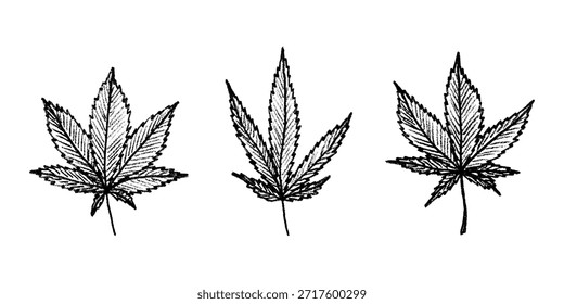 Conjunto de hoja de cannabis dibujado a mano Medicina marihuana Hojas de cáñamo Clipart en estilo doodle Un solo elemento para impresión, Web, diseño, decoración