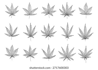Conjunto de hoja de cannabis dibujado a mano Medicina marihuana Hojas de cáñamo Clipart en estilo doodle Un solo elemento para impresión, Web, diseño, decoración