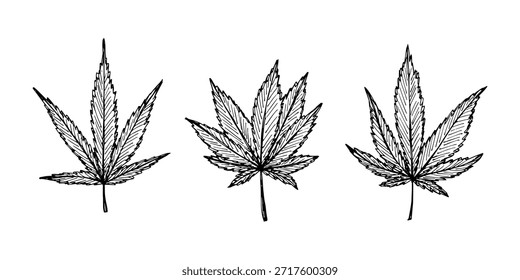 Conjunto de hoja de cannabis dibujado a mano Medicina marihuana Hojas de cáñamo Clipart en estilo doodle Un solo elemento para impresión, Web, diseño, decoración