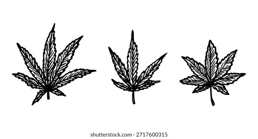 Conjunto de hoja de cannabis dibujado a mano Medicina marihuana Hojas de cáñamo Clipart en estilo doodle Un solo elemento para impresión, Web, diseño, decoración