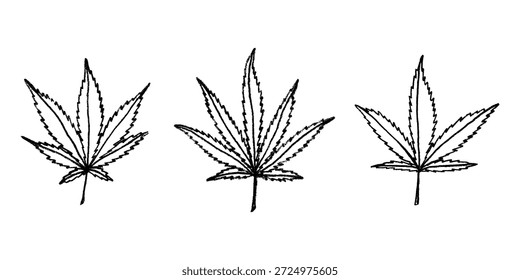 Conjunto de mão desenhada folha de maconha Medicina maconha cânhamo folhas clipart no estilo doodle Elemento único para impressão, web, design, decoração