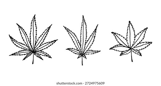 Conjunto de mão desenhada folha de maconha Medicina maconha cânhamo folhas clipart no estilo doodle Elemento único para impressão, web, design, decoração
