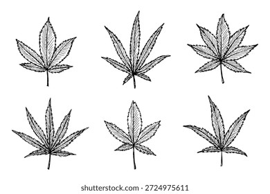 Conjunto de mão desenhada folha de maconha Medicina maconha cânhamo folhas clipart no estilo doodle Elemento único para impressão, web, design, decoração