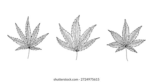 Conjunto de mão desenhada folha de maconha Medicina maconha cânhamo folhas clipart no estilo doodle Elemento único para impressão, web, design, decoração