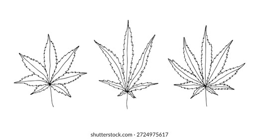 Conjunto de mão desenhada folha de maconha Medicina maconha cânhamo folhas clipart no estilo doodle Elemento único para impressão, web, design, decoração