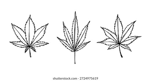 Conjunto de mão desenhada folha de maconha Medicina maconha cânhamo folhas clipart no estilo doodle Elemento único para impressão, web, design, decoração
