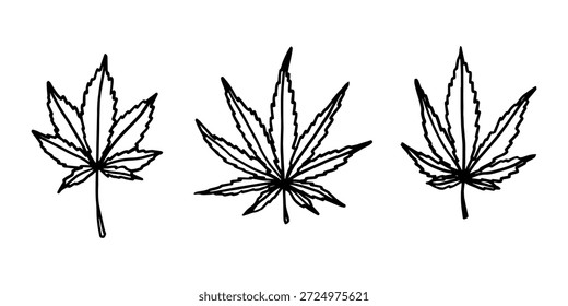 Conjunto de mão desenhada folha de maconha Medicina maconha cânhamo folhas clipart no estilo doodle Elemento único para impressão, web, design, decoração