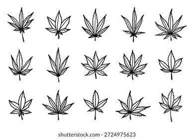 Conjunto de mão desenhada folha de maconha Medicina maconha cânhamo folhas clipart no estilo doodle Elemento único para impressão, web, design, decoração