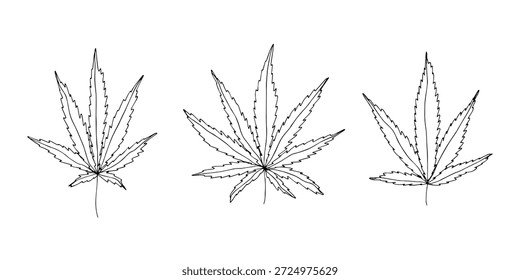 Conjunto de mão desenhada folha de maconha Medicina maconha cânhamo folhas clipart no estilo doodle Elemento único para impressão, web, design, decoração