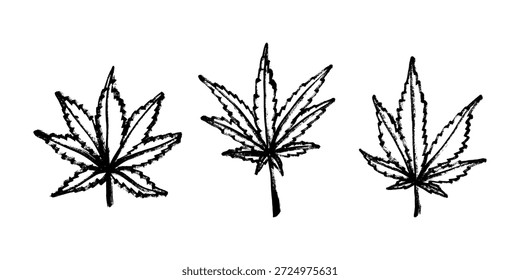 Conjunto de mão desenhada folha de maconha Medicina maconha cânhamo folhas clipart no estilo doodle Elemento único para impressão, web, design, decoração