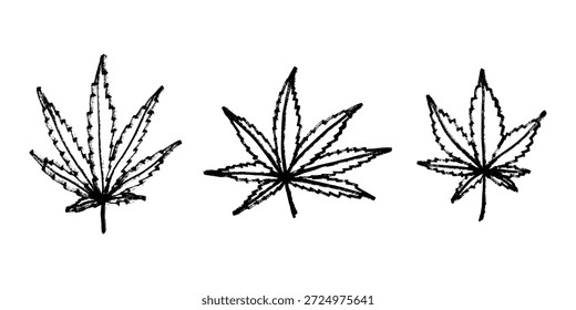 Conjunto de hoja de cannabis dibujado a mano Medicina marihuana Hojas de cáñamo Clipart en estilo doodle Un solo elemento para impresión, Web, diseño, decoración