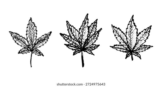 Conjunto de mão desenhada folha de maconha Medicina maconha cânhamo folhas clipart no estilo doodle Elemento único para impressão, web, design, decoração