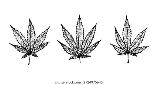 Conjunto de mão desenhada folha de maconha Medicina maconha cânhamo folhas clipart no estilo doodle Elemento único para impressão, web, design, decoração