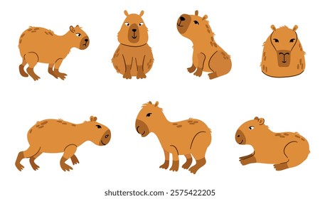 Set of hand drawn capybara. White background, isolate.
