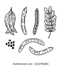 Set of hand drawn carob beans