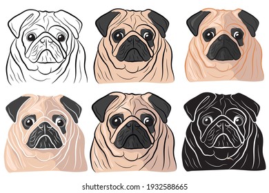 Set of Hand drawn cartoon portrait of a pug. Funny happy smiling pug face. Dogs, pets themed design element, icon, logo.