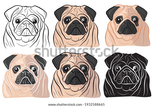 Set\
of Hand drawn cartoon portrait of a pug. Funny happy smiling pug\
face. Dogs, pets themed design element, icon,\
logo.