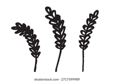 Conjunto de mão desenhada trigo trigo trigo aveia centeio cevada espiguelha orelhas clipart Pão de trigo orgânico agricultura colheita comida saudável Elemento único para design impressão etiqueta decoração