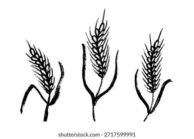 Conjunto de mão desenhada trigo trigo trigo aveia centeio cevada espiguelha orelhas clipart Pão de trigo orgânico agricultura colheita comida saudável Elemento único para design impressão etiqueta decoração