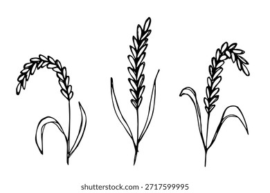 Conjunto de mão desenhada trigo trigo trigo aveia centeio cevada espiguelha orelhas clipart Pão de trigo orgânico agricultura colheita comida saudável Elemento único para design impressão etiqueta decoração