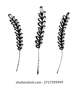 Conjunto de mão desenhada trigo trigo trigo aveia centeio cevada espiguelha orelhas clipart Pão de trigo orgânico agricultura colheita comida saudável Elemento único para design impressão etiqueta decoração