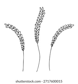 Conjunto de mão desenhada trigo trigo trigo aveia centeio cevada espiguelha orelhas clipart Pão de trigo orgânico agricultura colheita comida saudável Elemento único para design impressão etiqueta decoração