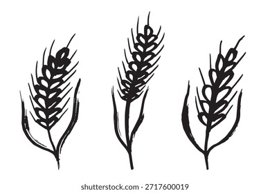 Conjunto de mão desenhada trigo trigo trigo aveia centeio cevada espiguelha orelhas clipart Pão de trigo orgânico agricultura colheita comida saudável Elemento único para design impressão etiqueta decoração