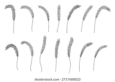 Conjunto de cereales dibujados a mano trigo centeno cebada orejas de arroz espiguilla Clipart Pan de trigo orgánico agricultura cosecha alimentos saludables Elemento único para diseño impresión embalaje etiqueta decoración