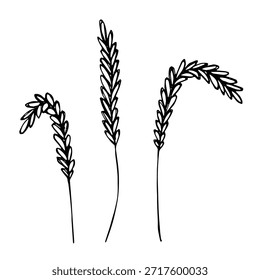 Conjunto de mão desenhada trigo trigo trigo aveia centeio cevada espiguelha orelhas clipart Pão de trigo orgânico agricultura colheita comida saudável Elemento único para design impressão etiqueta decoração