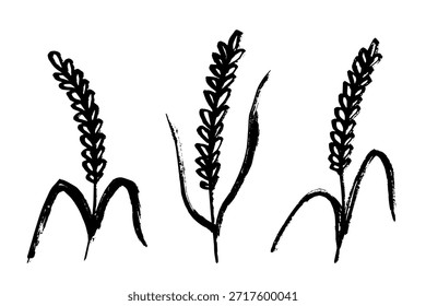 Conjunto de mão desenhada trigo trigo trigo aveia centeio cevada espiguelha orelhas clipart Pão de trigo orgânico agricultura colheita comida saudável Elemento único para design impressão etiqueta decoração