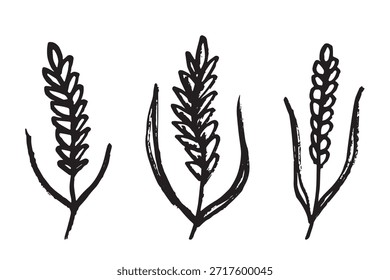Conjunto de mão desenhada trigo trigo trigo aveia centeio cevada espiguelha orelhas clipart Pão de trigo orgânico agricultura colheita comida saudável Elemento único para design impressão etiqueta decoração