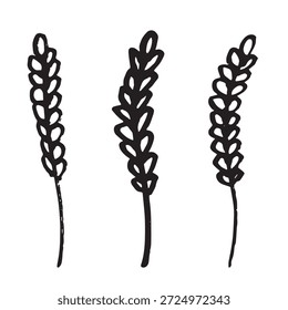 Set of hand drawn cereal wheat oat rye barley rice ears spikelet clipart Organic wheat bread agriculture farming harvest healthy food Single element for design print packaging label decor