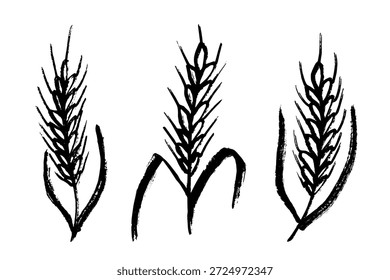 Conjunto de cereales dibujados a mano trigo centeno cebada orejas de arroz espiguilla Clipart Pan de trigo orgánico agricultura cosecha alimentos saludables Elemento único para diseño impresión embalaje etiqueta decoración