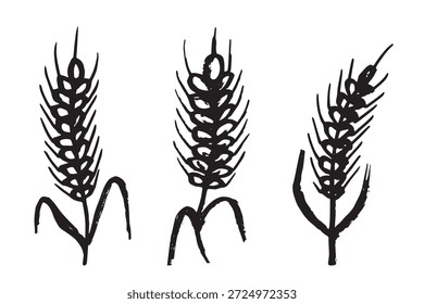 Set of hand drawn cereal wheat oat rye barley rice ears spikelet clipart Organic wheat bread agriculture farming harvest healthy food Single element for design print packaging label decor